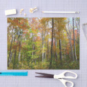 Herfst Forest I Autumn Landscape Photography Tissuepapier (Craft)