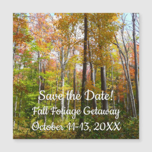 Herfst Forest I Herfstlandschap Save the Date