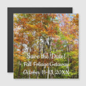 Herfst Forest II Autumn Landscape Photography (Voorkant / Achterkant)