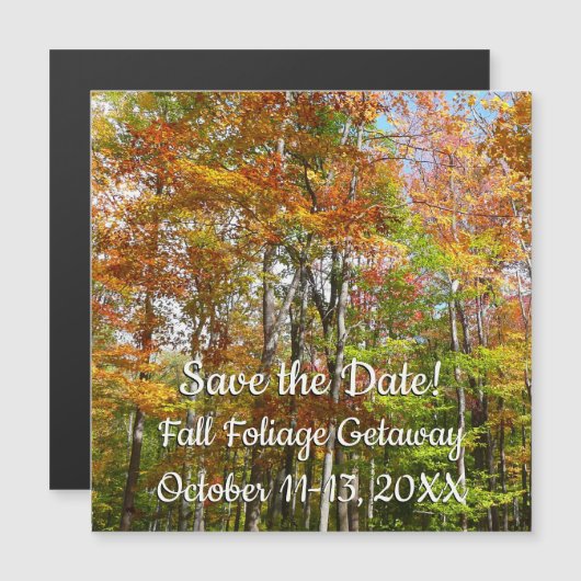 Herfst Forest II Autumn Landscape Photography (Voorkant / Achterkant)