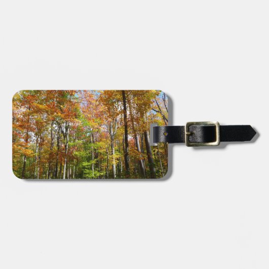 Herfst Forest II Autumn Landscape Photography Bagagelabel (Voorkant horizontaal)