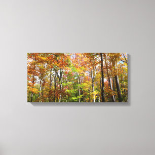 Herfst Forest II Autumn Landscape Photography Canvas Afdruk