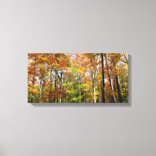 Herfst Forest II Autumn Landscape Photography Canvas Afdruk (Voorkant)