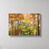 Herfst Forest II Autumn Landscape Photography Canvas Afdruk (Voorkant)
