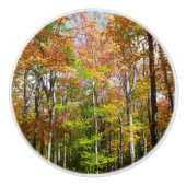 Herfst Forest II Autumn Landscape Photography Keramische Knop (Voorkant)