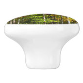 Herfst Forest II Autumn Landscape Photography Keramische Knop (Zijkant)