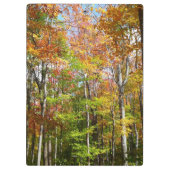 Herfst Forest II Autumn Landscape Photography Klembord (Achterkant)