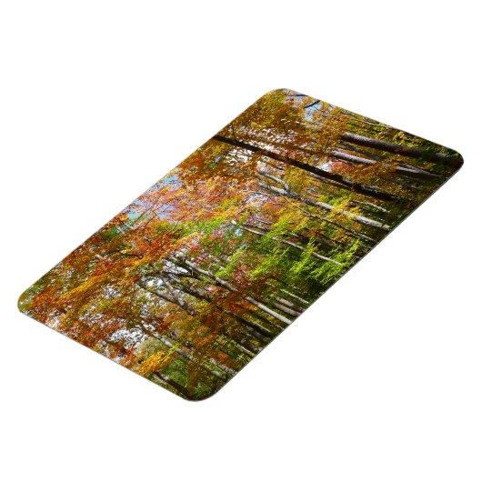 Herfst Forest II Autumn Landscape Photography Magneet (Linkerzijde)