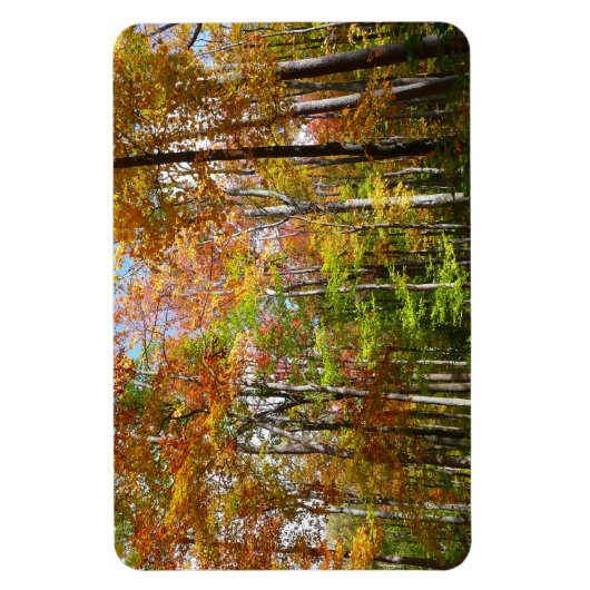 Herfst Forest II Autumn Landscape Photography Magneet (Verticaal)