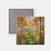 Herfst Forest II Autumn Landscape Photography Magneet (Voorkant / Achterkant)