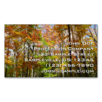 Herfst Forest II Autumn Landscape Photography