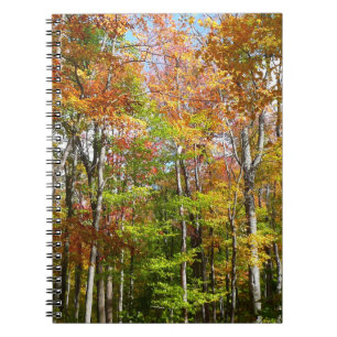 Herfst Forest II Autumn Landscape Photography Notitieboek