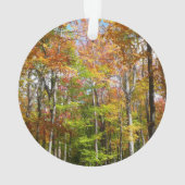 Herfst Forest II Autumn Landscape Photography Ornament (achterkant)