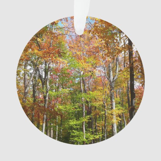 Herfst Forest II Autumn Landscape Photography Ornament (voorkant)