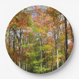 Herfst Forest II Autumn Landscape Photography Papieren Bordje