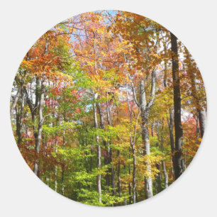 Herfst Forest II Autumn Landscape Photography Ronde Sticker