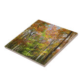 Herfst Forest II Autumn Landscape Photography Tegeltje (Zijkant)