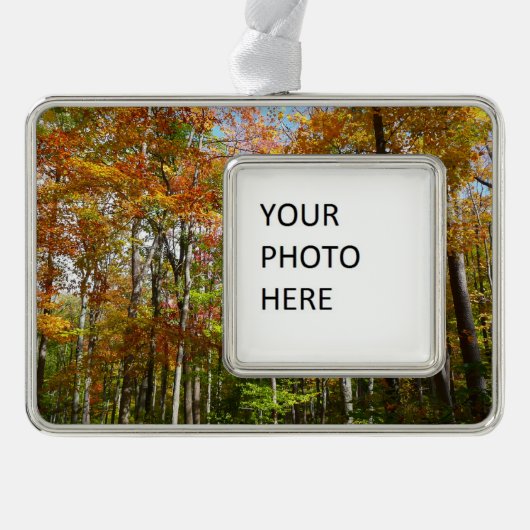 Herfst Forest II Autumn Landscape Photography Verzilverd Omlijst Ornament (Voorkant)