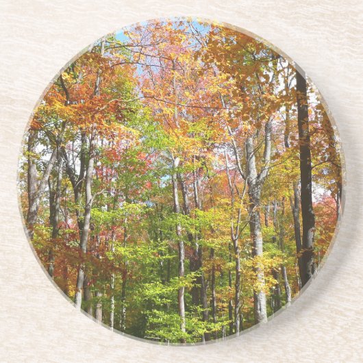 Herfst Forest II Autumn Landscape Photography Zandsteen Onderzetter (Voorkant)