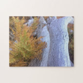 Herfst Forest Legpuzzel (Horizontaal)