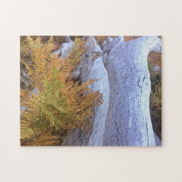 Herfst Forest Legpuzzel