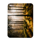 Herfst Forest met zonnestralen Magneet (Verticaal)