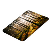 Herfst Forest met zonnestralen Magneet (Linkerzijde)