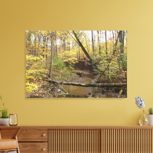 Herfst Forest Stream Canvas Afdruk (Insitu (Woonkamer))