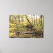 Herfst Forest Stream Canvas Afdruk (Voorkant)