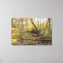 Herfst Forest Stream Canvas Afdruk