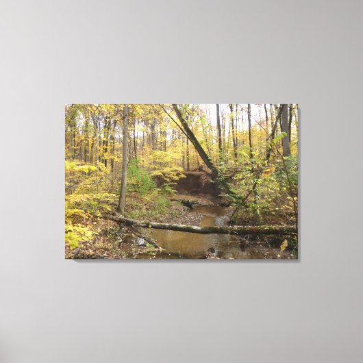 Herfst Forest Stream Canvas Afdruk (Voorkant)