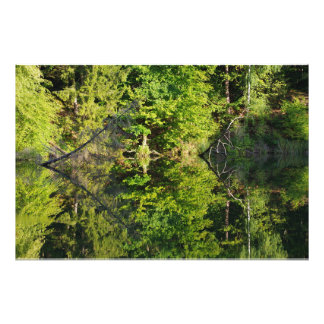herfst foto afdruk