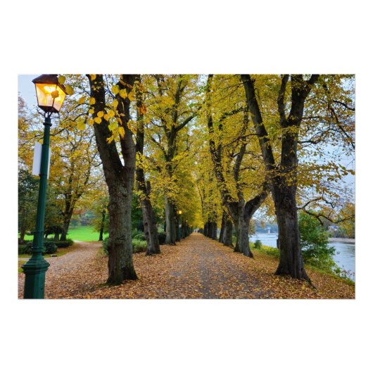 Herfst Foto Afdruk (Voorkant)