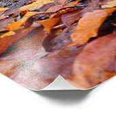 herfst foto afdruk (Hoek)