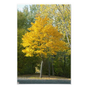 herfst foto afdruk