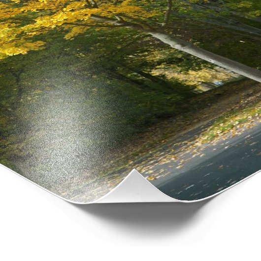 herfst foto afdruk (Hoek)