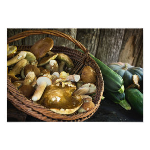 Herfst foto foto's foto's foto's nog leven foto afdruk