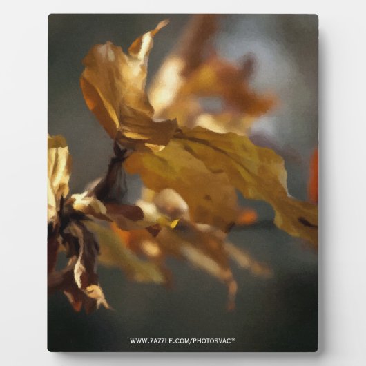 Herfst Fotoplaat (Voorkant)