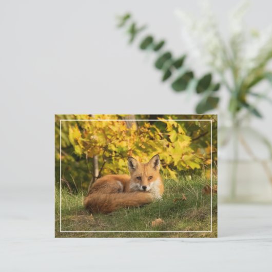 Herfst Fox Briefkaart (Staand voorkant)