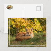 Herfst Fox Briefkaart (Voorkant / Achterkant)