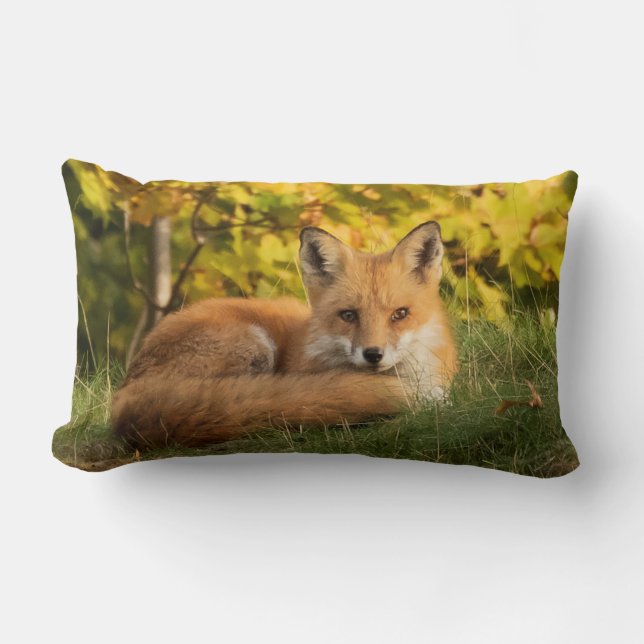 Herfst Fox Kussen (Voorkant)