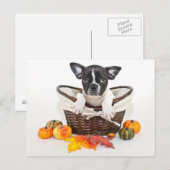 Herfst French Bulldog Briefkaart (Voorkant / Achterkant)