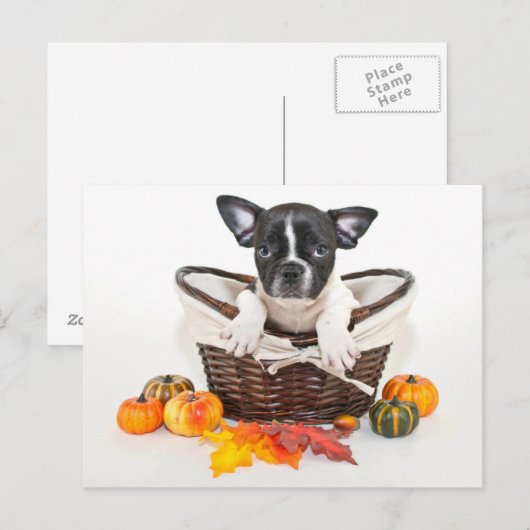 Herfst French Bulldog Briefkaart (Voorkant / Achterkant)