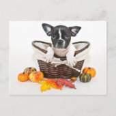 Herfst French Bulldog Briefkaart (Voorkant)