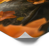 Herfst Frogs Poster (Hoek)
