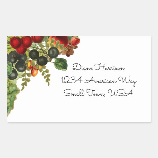 Herfst-fruitstickers Rechthoekige Sticker (Voorkant)