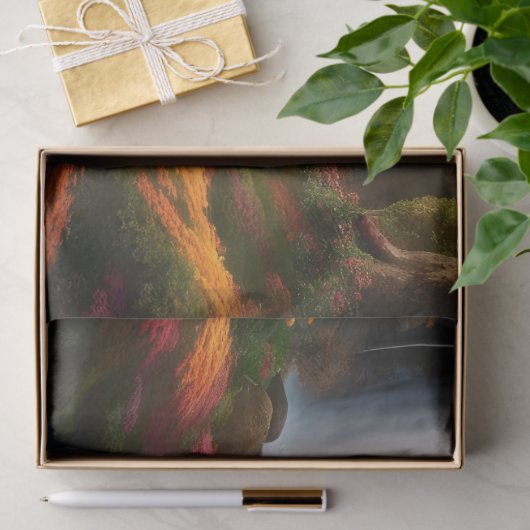 Herfst gebladerte bij de waterval tissuepapier (Geschenk)