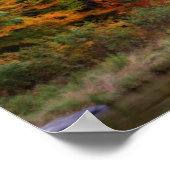 Herfst gebladerte grenzend aan River Orton Art Poster (Hoek)