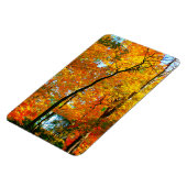 Herfst gebladerte in het park magneet (Linkerzijde)