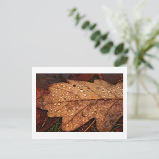 Herfst geel blad briefkaart (Staand voorkant)